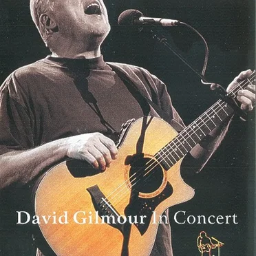 David Gilmour in Concert