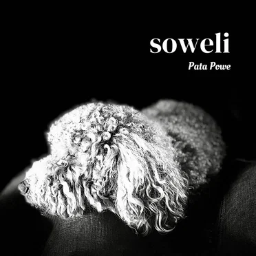 soweli by Pata Powe - album cover
