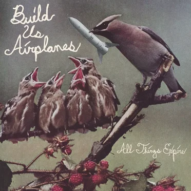 All Things Expire by Build Us Airplanes - album cover