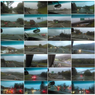 Driving With My Grandma in the Rain