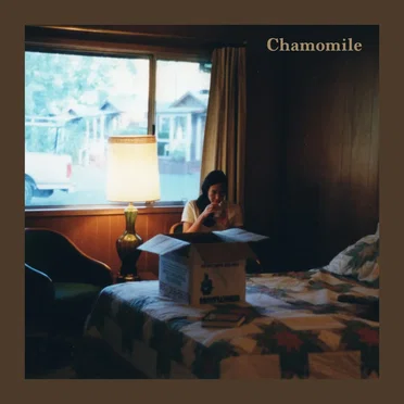 Chamomile by An Unexpected End - album cover