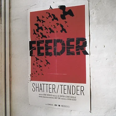 Shatter / Tender