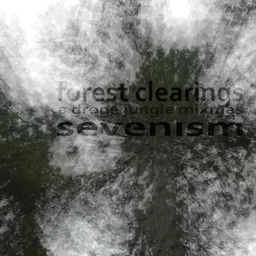 forest clearings: a drone jungle mixmas