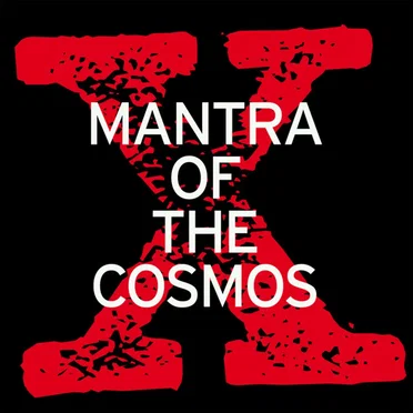 X (Wot You Sayin?) by Mantra of the Cosmos - album cover