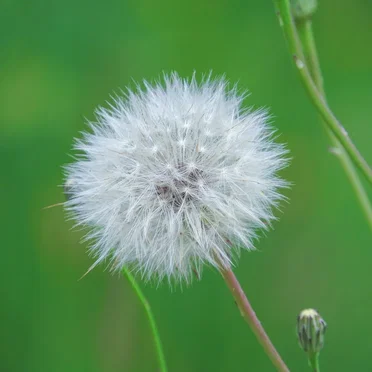 ひとりごつ 破壊