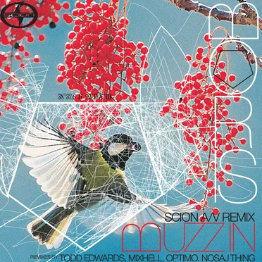 Scion A/V Remix: Buzz In