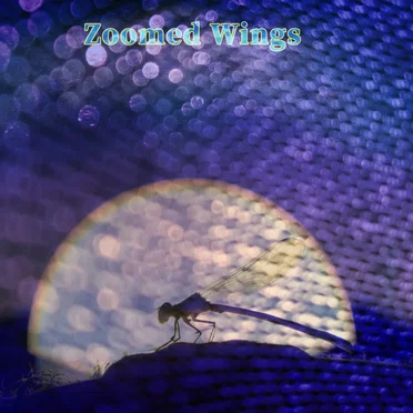 Zoomed Wings
