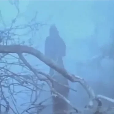 苦しみは存在しません