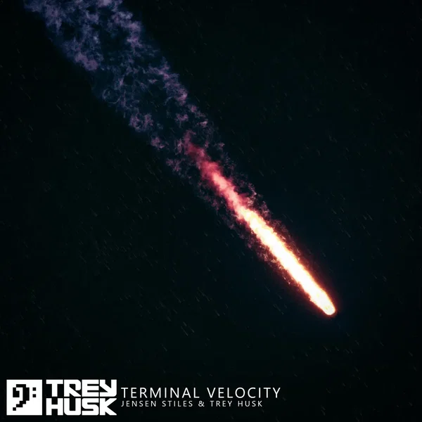 Terminal Velocity