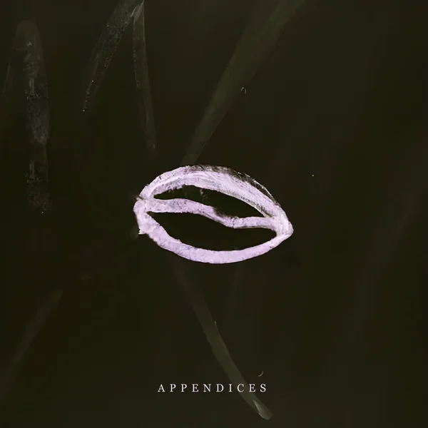 Appendices