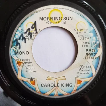 Morning Sun / Sunbird