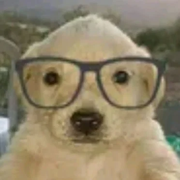 i witerawwy saw a ghost