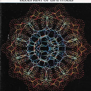 DNA Music (Molecular Meditation) by Riley McLaughlin - album cover
