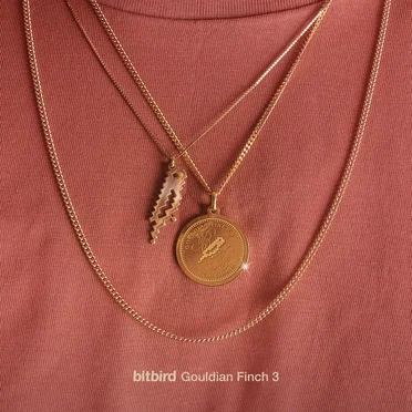 Gouldian Finch 3 by Various Artists - album cover