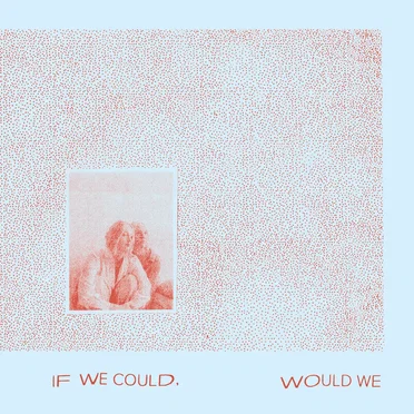 If We Could, Would We by Gracie and Rachel - album cover