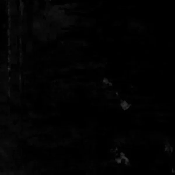 ___S__L___I___C__E____Ꮵ Ꮍ Ꮪ Ꭲ Ꮛ Ꮢ Ꮧ Q_____C___U----N----T----Z
