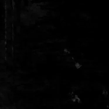___S__L___I___C__E____Ꮵ Ꮍ Ꮪ Ꭲ Ꮛ Ꮢ Ꮧ Q_____C___U----N----T----Z