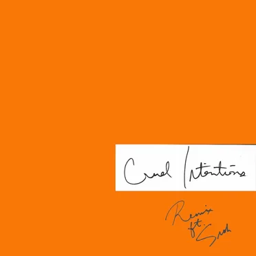 Cruel Intentions (remix) by JMSN - album cover