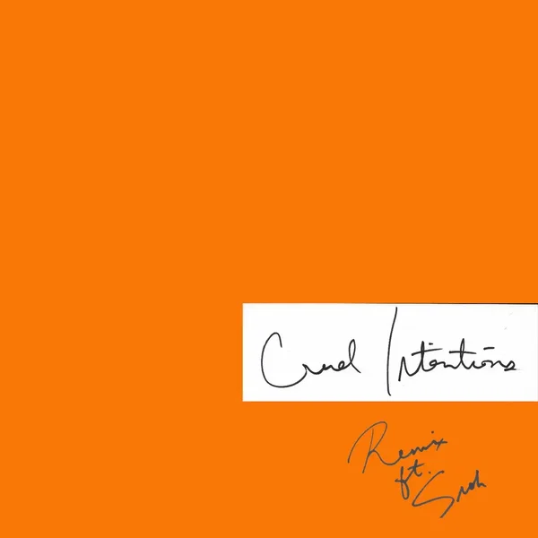 Cruel Intentions (remix)