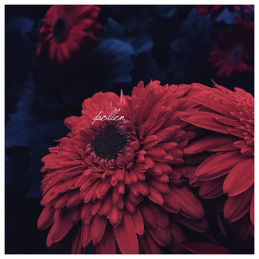 Pollen