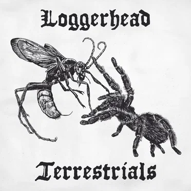 Terrestrials by Loggerhead - album cover