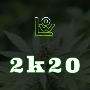 2k20