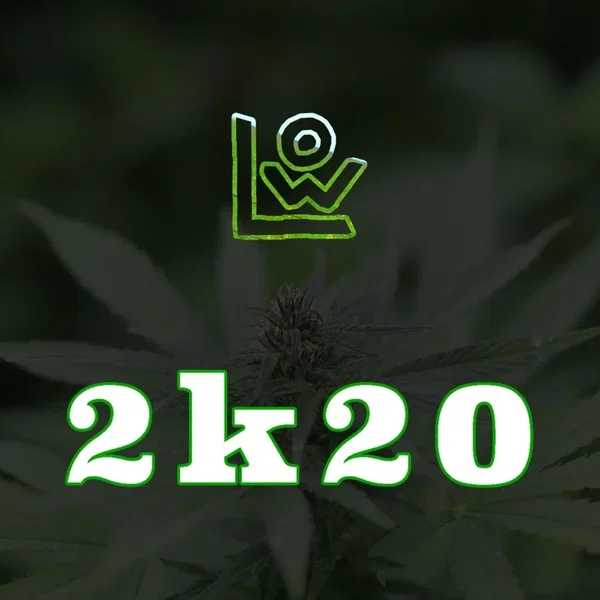 2k20