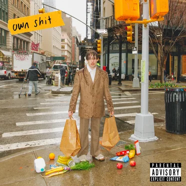 own sh¡t by Nemo - album cover