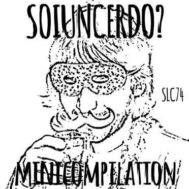 Soiuncerdo? by Various Artists - album cover