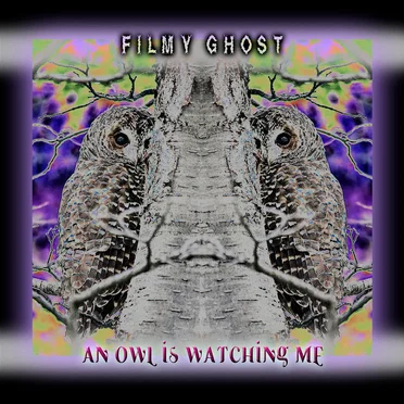 An Owl Is Watching Me