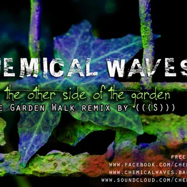 The Other Side of the Garden - The Garden Walk Remix By (( (S)))