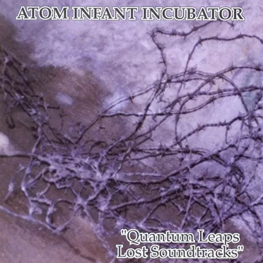 Quantum Leaps Lost Soundtracks by Atom Infant Incubator - album cover