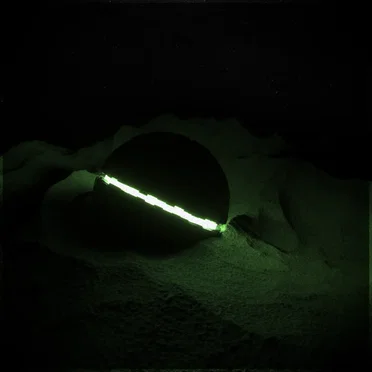 Pulse