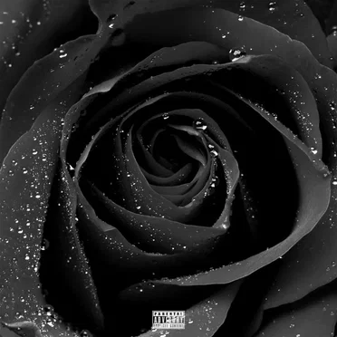 Black Roses by Marley Brooker - album cover