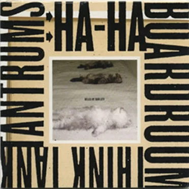 Ha-Ha Boardroom Think Tank Tantrums by Belles of Skin City - album cover