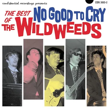 No Good To Cry: The Best of The Wildweeds by The Wildweeds - album cover