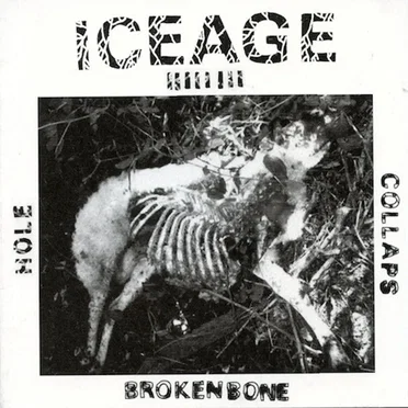Iceage
