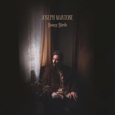 Honey Birds by Joseph Martone - album cover