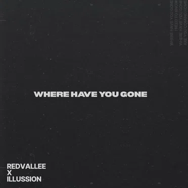 WHERE HAVE YOU GONE