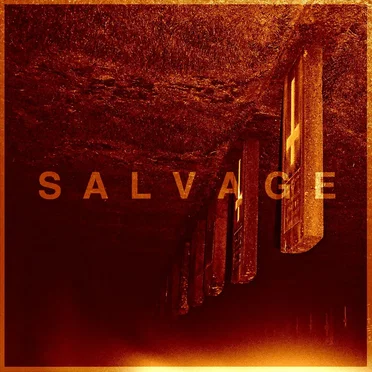 Demo 2015 by Salvage - album cover