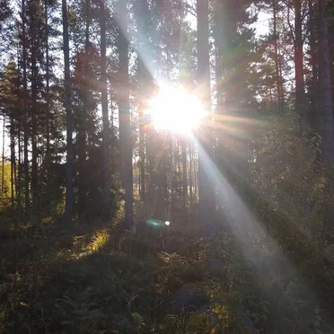 Gubbjävel