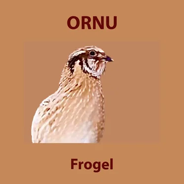 Frogel