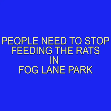 PEOPLE NEED TO STOP FEEDING THE RATS IN FOG LANE PARK