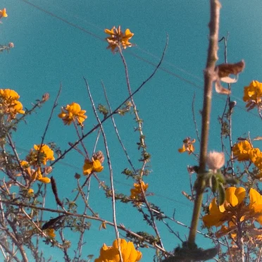 It Isn't Always Easy