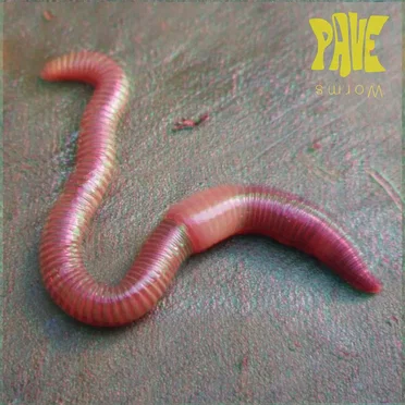 Worms