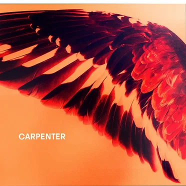 Sea To Sky by Carpenter - album cover