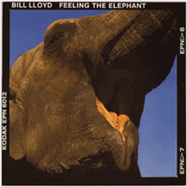 Feeling the Elephant
