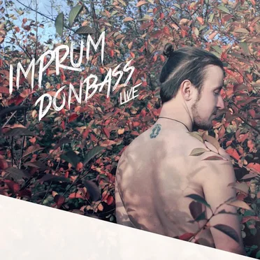 Tunguska Constellation: imprum - donbass live