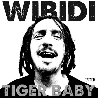 Tiger Baby by Wibidi - album cover