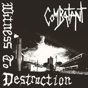 Witness to Destruction